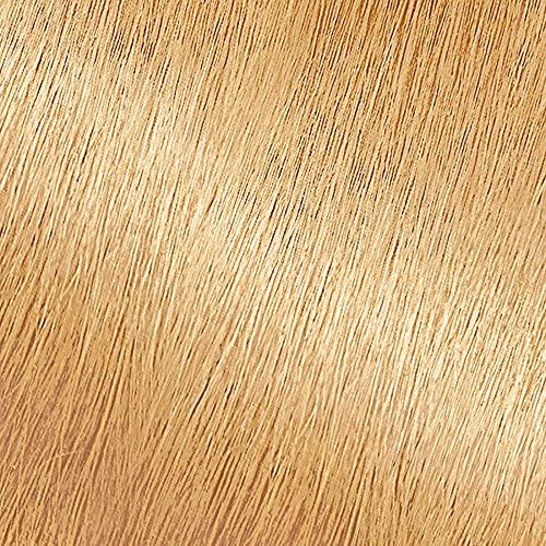 Garnier Nutrisse Nourishing Hair Color Creme, 93 Light Golden Blonde (Honey Butter) (Packaging May Vary)